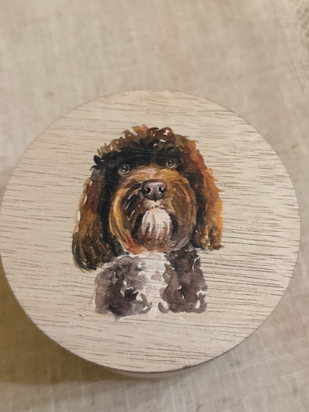 Sand + Fog / Paws Coconut & Palm 12 oz Candle Chocolate Doodle Cockapoo Lid